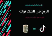 الربح من التيك توك